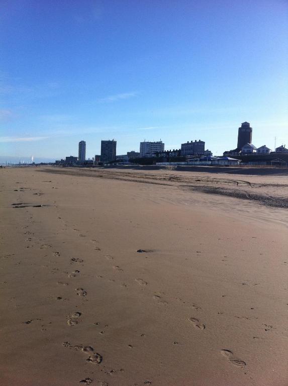 Life@Sea Leilighet Zandvoort Eksteriør bilde
