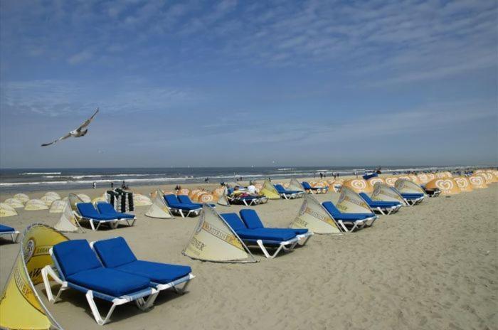Life@Sea Leilighet Zandvoort Eksteriør bilde